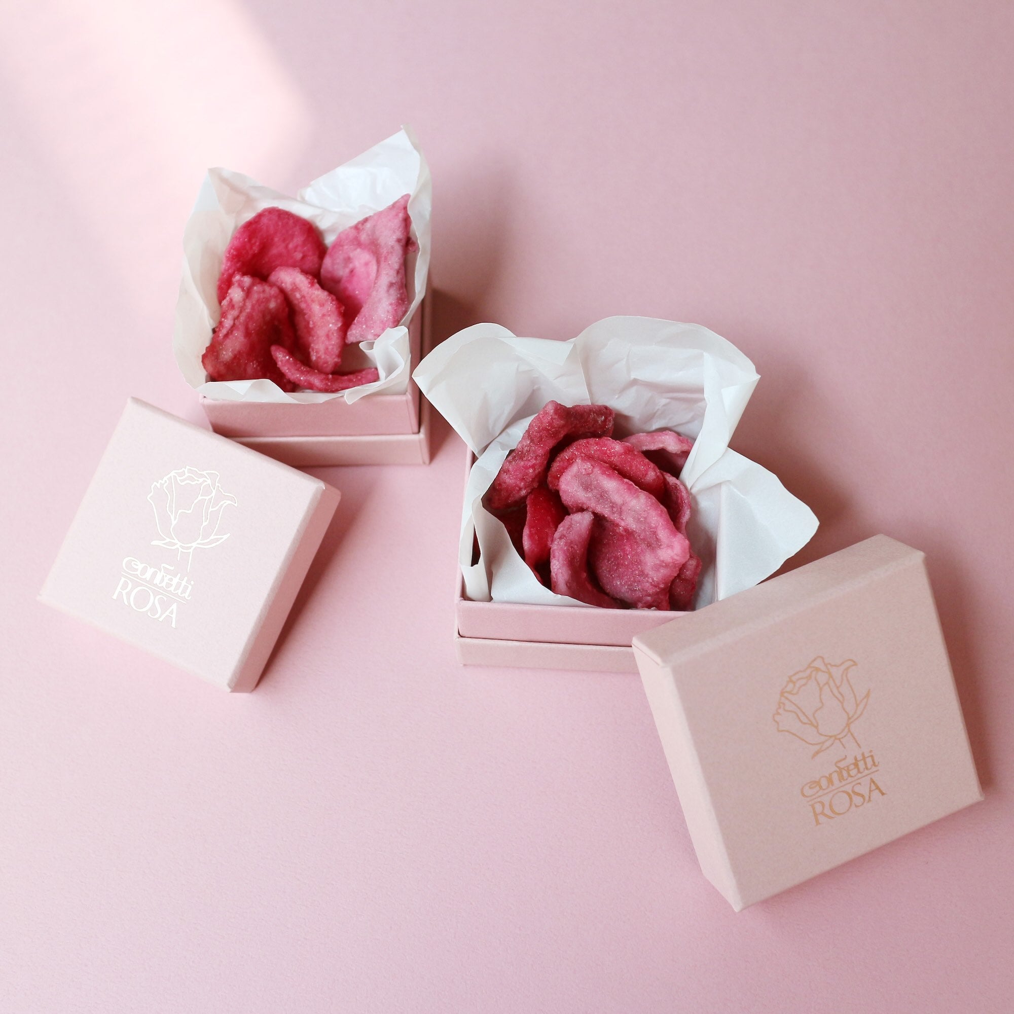 Rose Petal - 薔薇の花びら